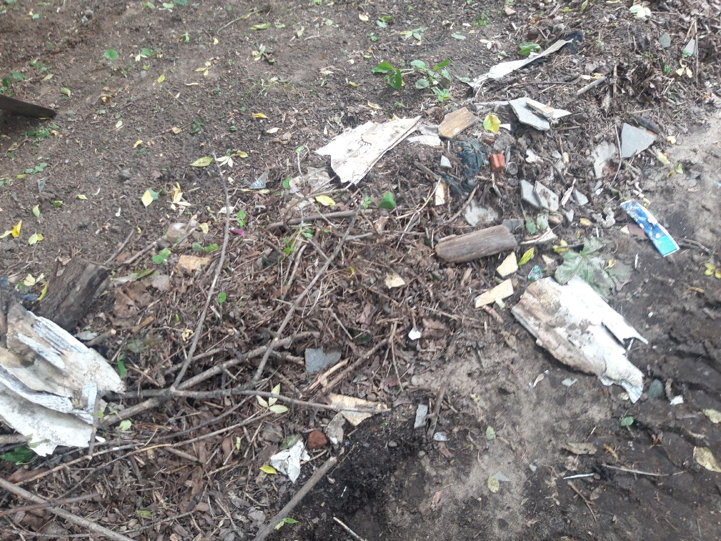 доброе дело, свалка,