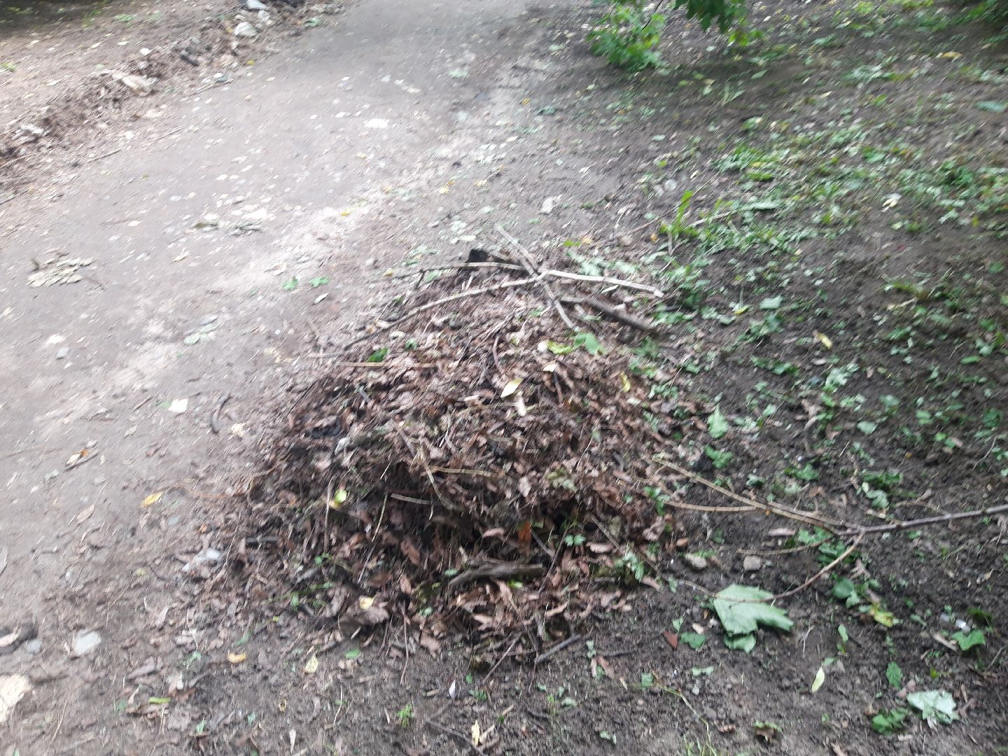 доброе дело, свалка,