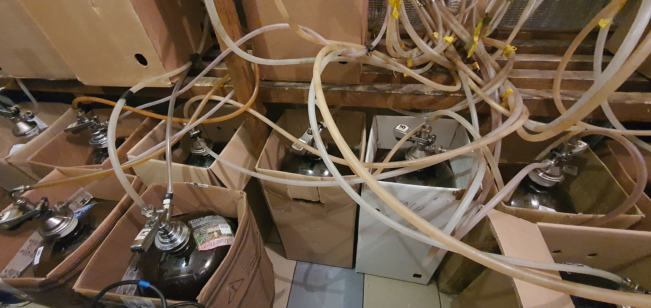 отравление сидром, Домодедово