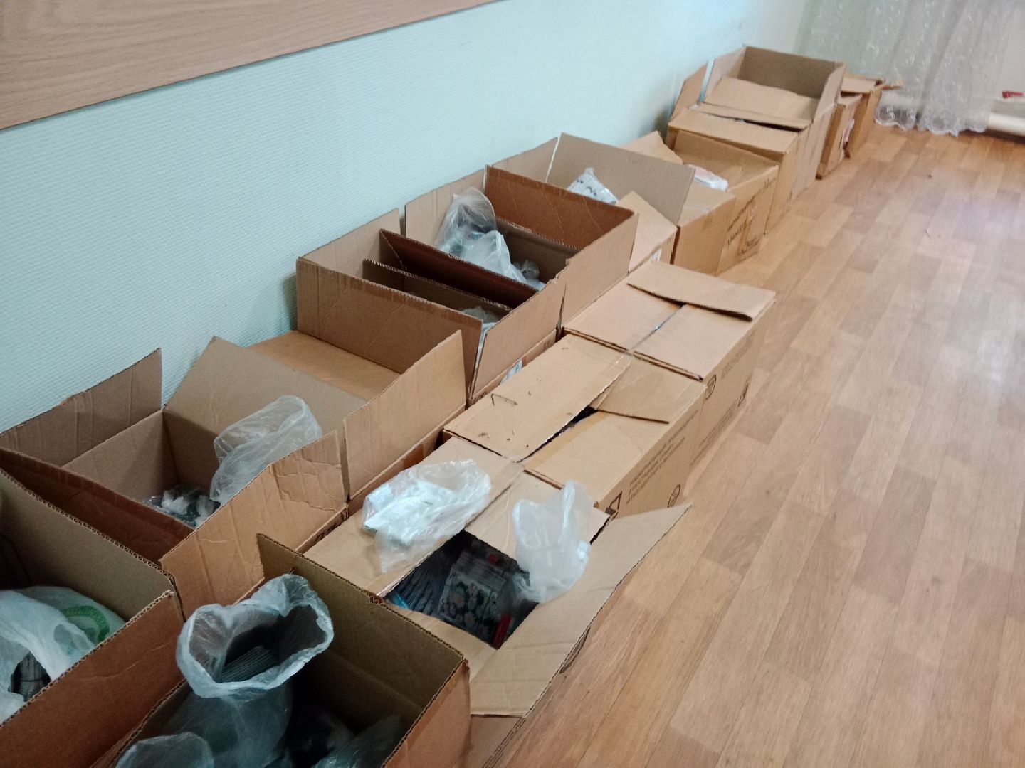 агрофирма, Поиск, Город-сад, движение, цветы, рассада