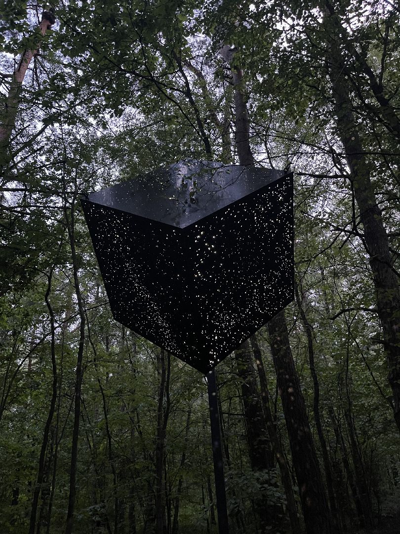 Одинцово, парк малевича, искусство, арт, выставка, парк,