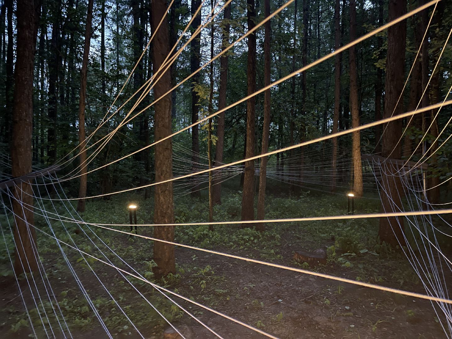 Одинцово, парк малевича, искусство, арт, выставка, парк,