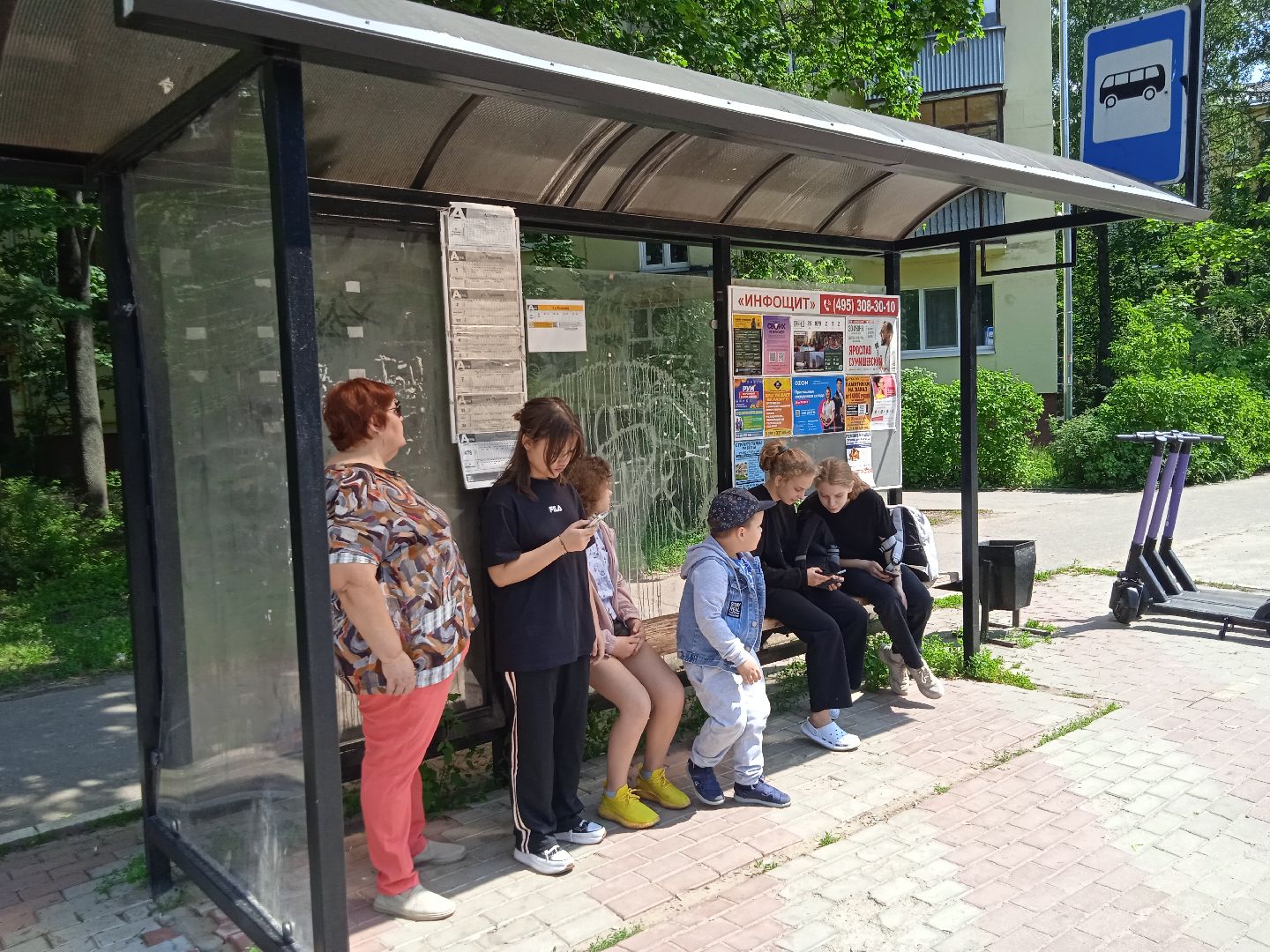 автобусы, новые, маршрут