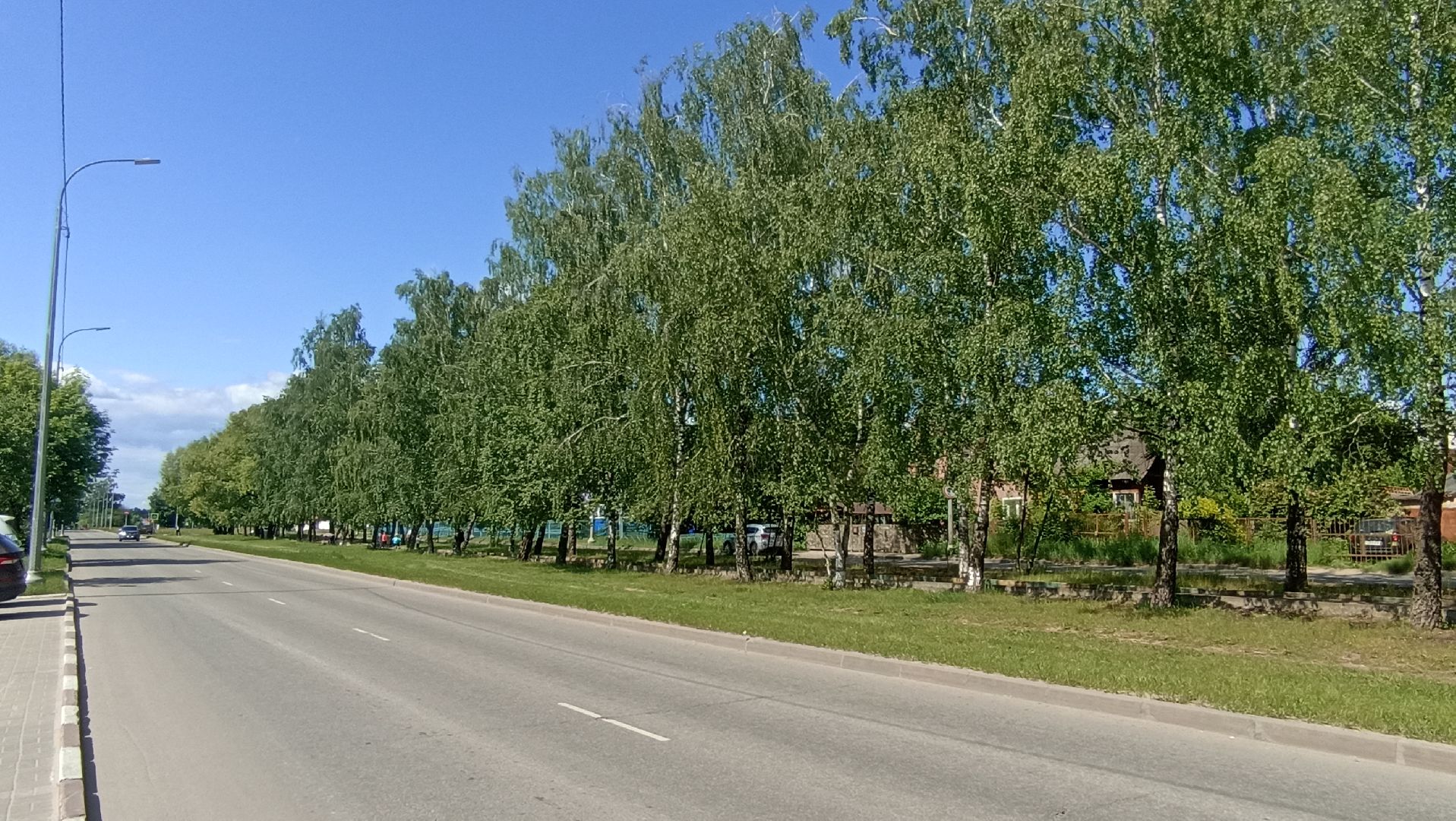 Серпухов, Подмосковье, благоустройство, покос травы, газон