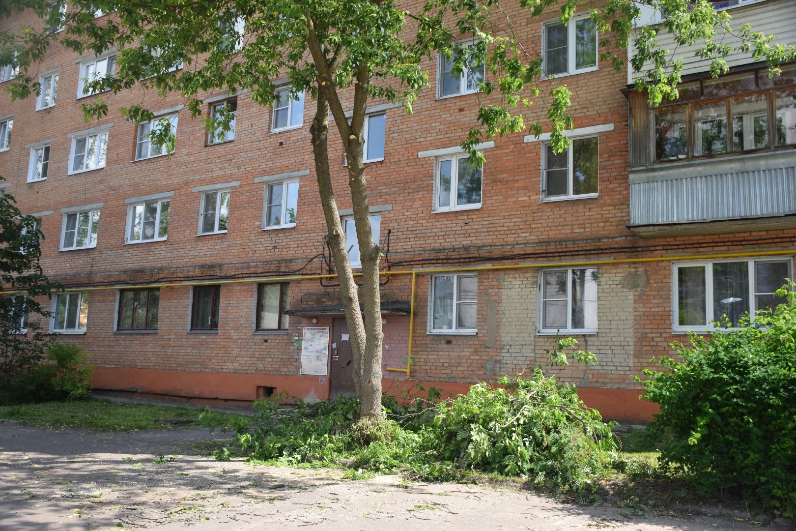 Павловский Посад, городской округ Павловский Посад, благоустройство, деревья, перемены