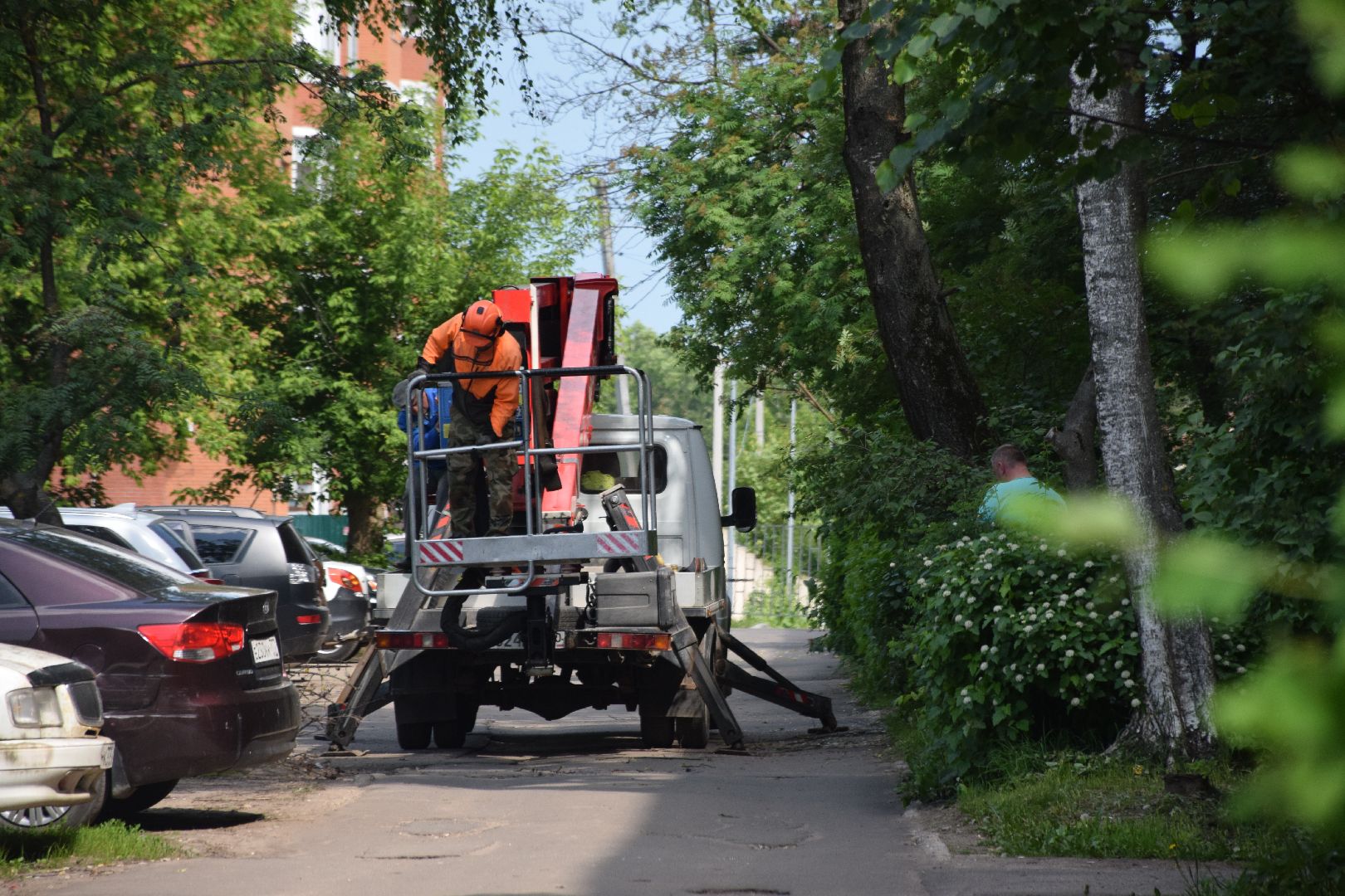 Павловский Посад, городской округ Павловский Посад, благоустройство, деревья, перемены