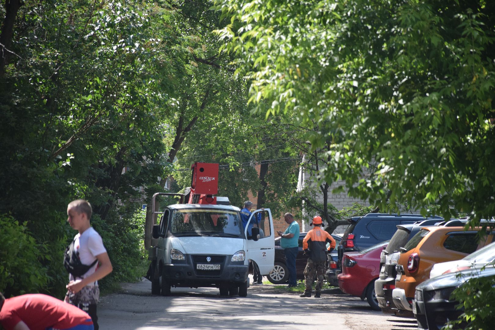 Павловский Посад, городской округ Павловский Посад, благоустройство, деревья, перемены
