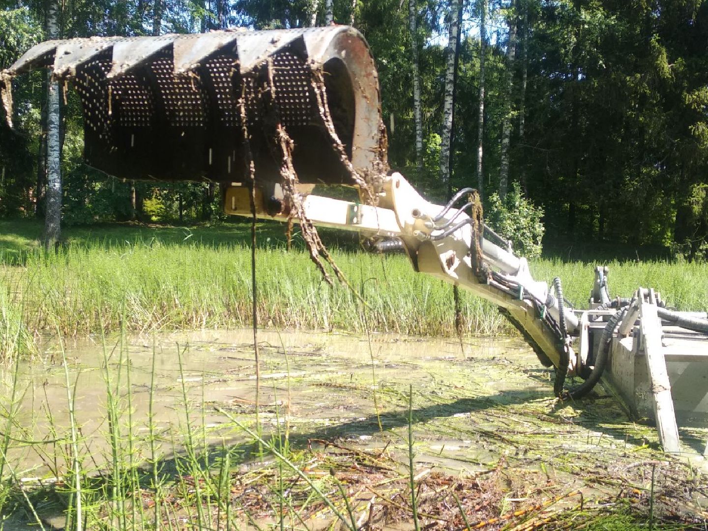 Дмитров, Свистуха, Мин благоустройства МО