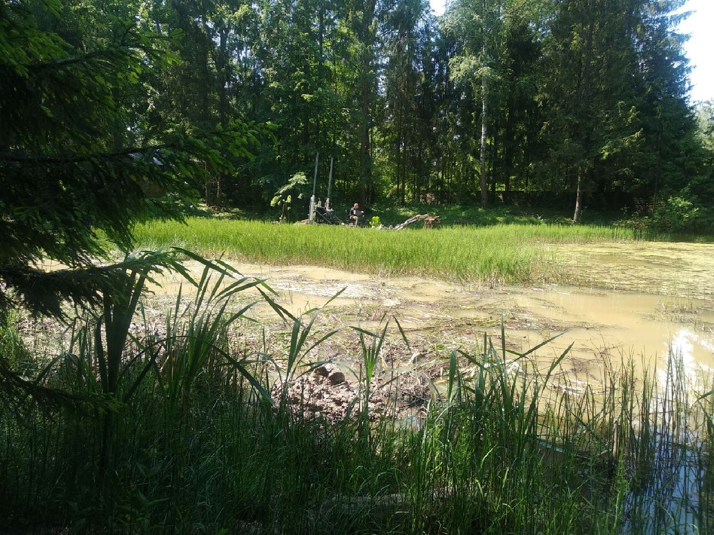 Дмитров, Свистуха, Мин благоустройства МО