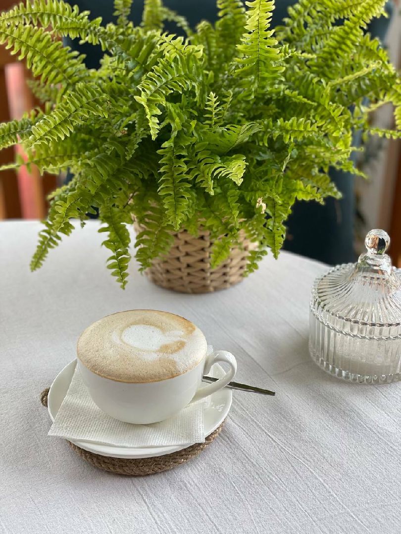 Солнечногорск, здоровье, кофе, зависимость, врач