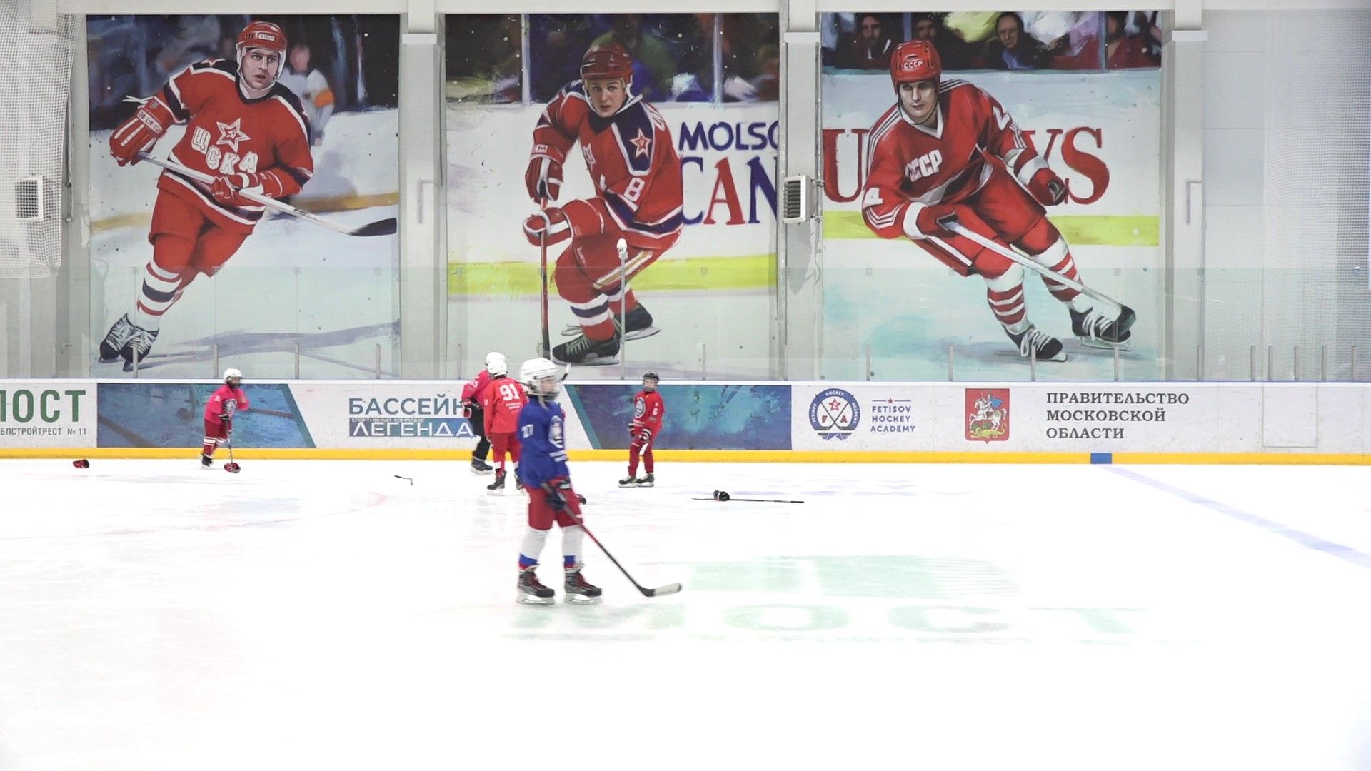 Хоккейная Академия Фетисова, Домодедово