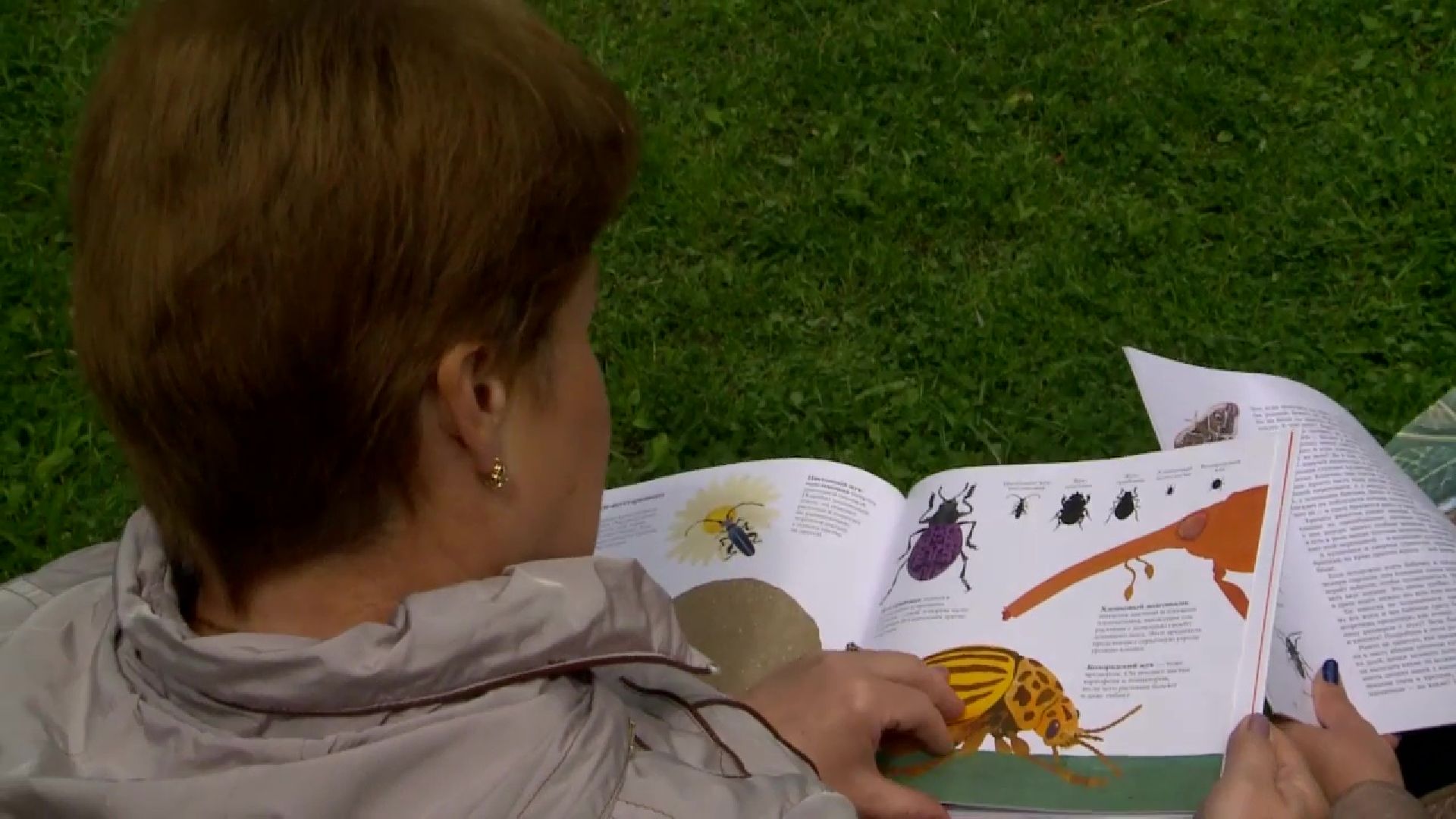 Реутов, библиотеки, Центральный городской парк, Библиотека в парке