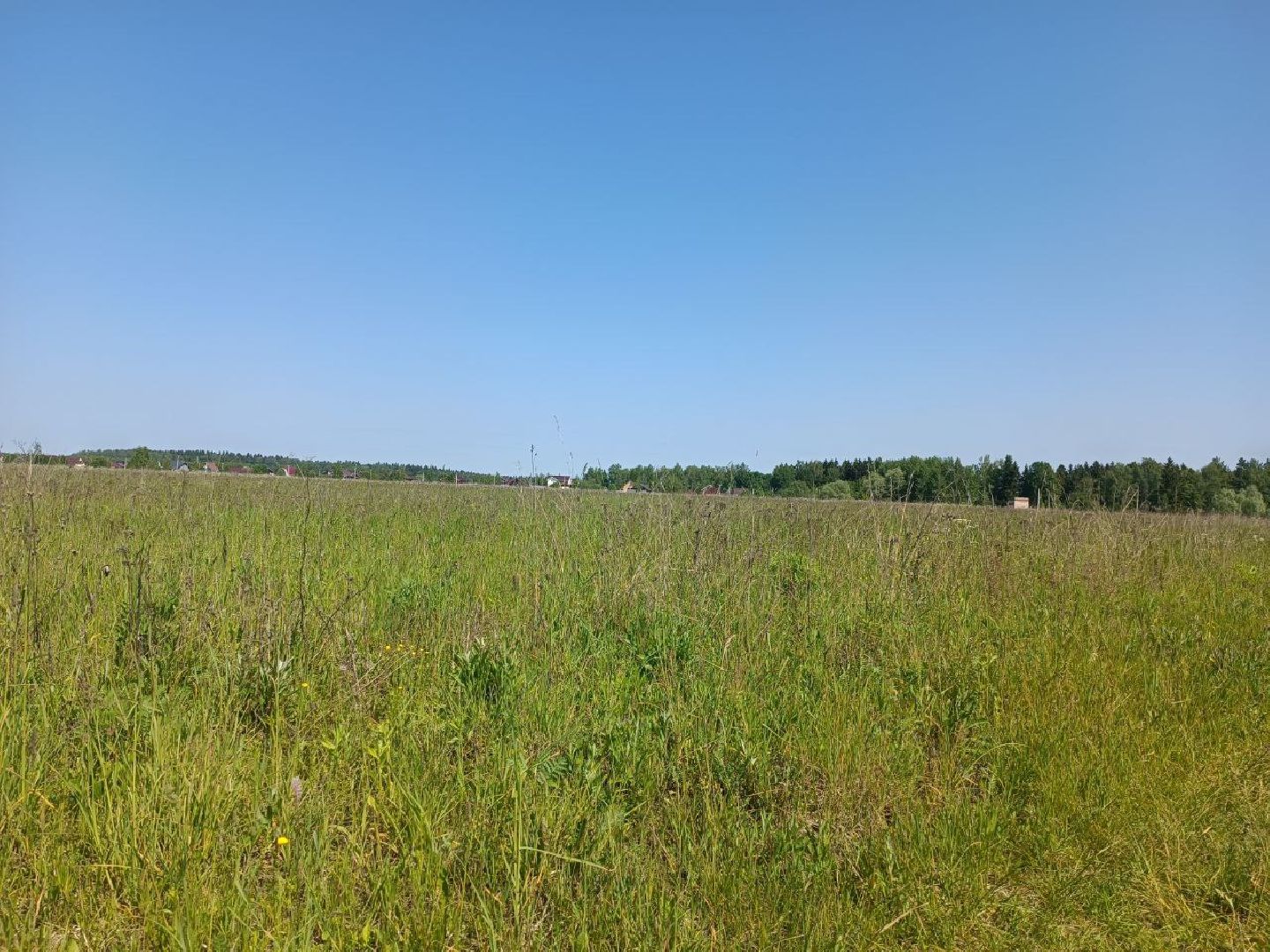 Можайск, Можайский городской округ, Подмосковье, карьер, жители, жалобы, строительство, разработка карьера, дороги