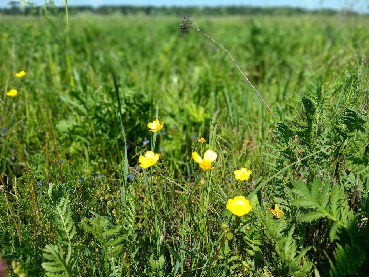 Можайск, Можайский городской округ, Подмосковье, карьер, жители, жалобы, строительство, разработка карьера, дороги