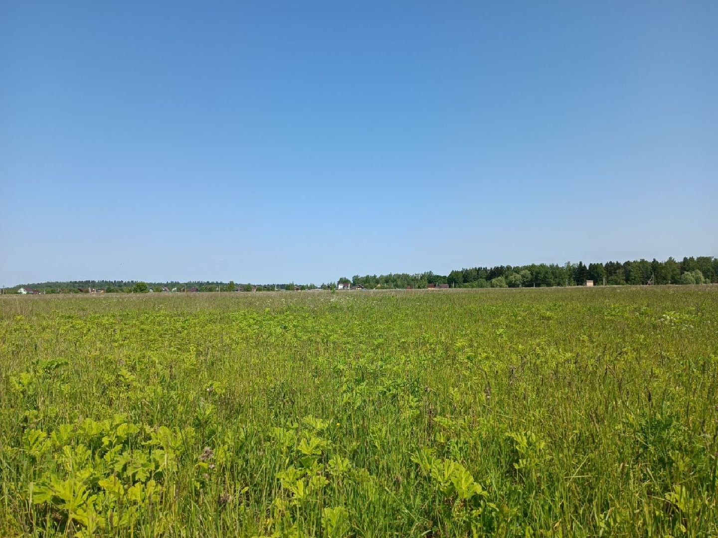 Можайск, Можайский городской округ, Подмосковье, карьер, жители, жалобы, строительство, разработка карьера, дороги