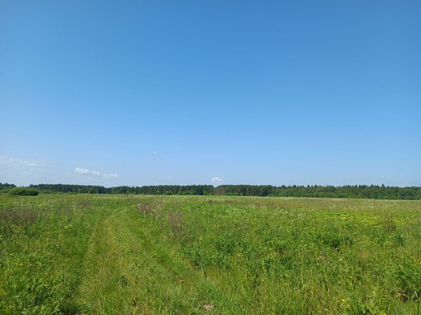 Можайск, Можайский городской округ, Подмосковье, карьер, жители, жалобы, строительство, разработка карьера, дороги