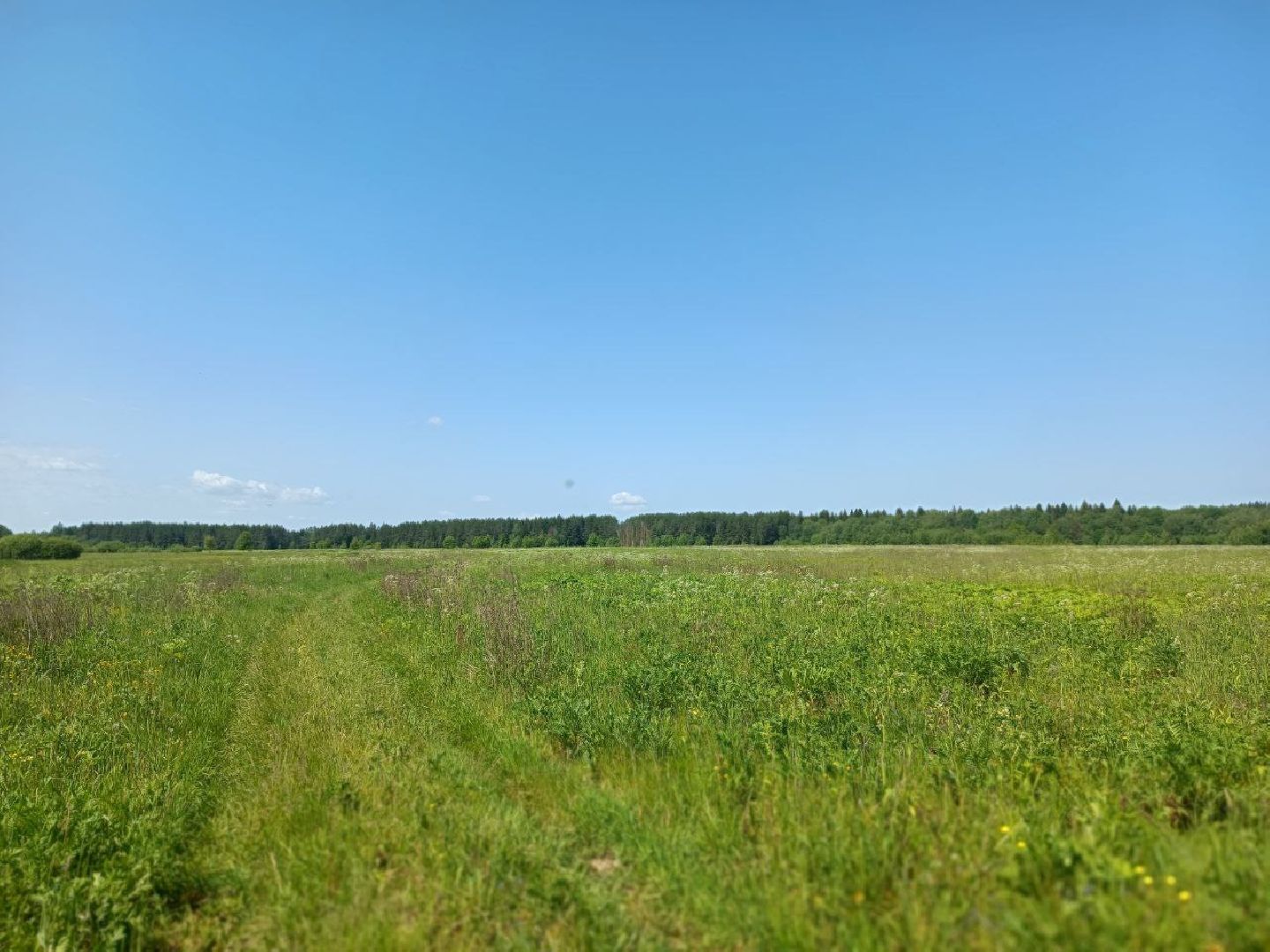 Можайск, Можайский городской округ, Подмосковье, карьер, жители, жалобы, строительство, разработка карьера, дороги