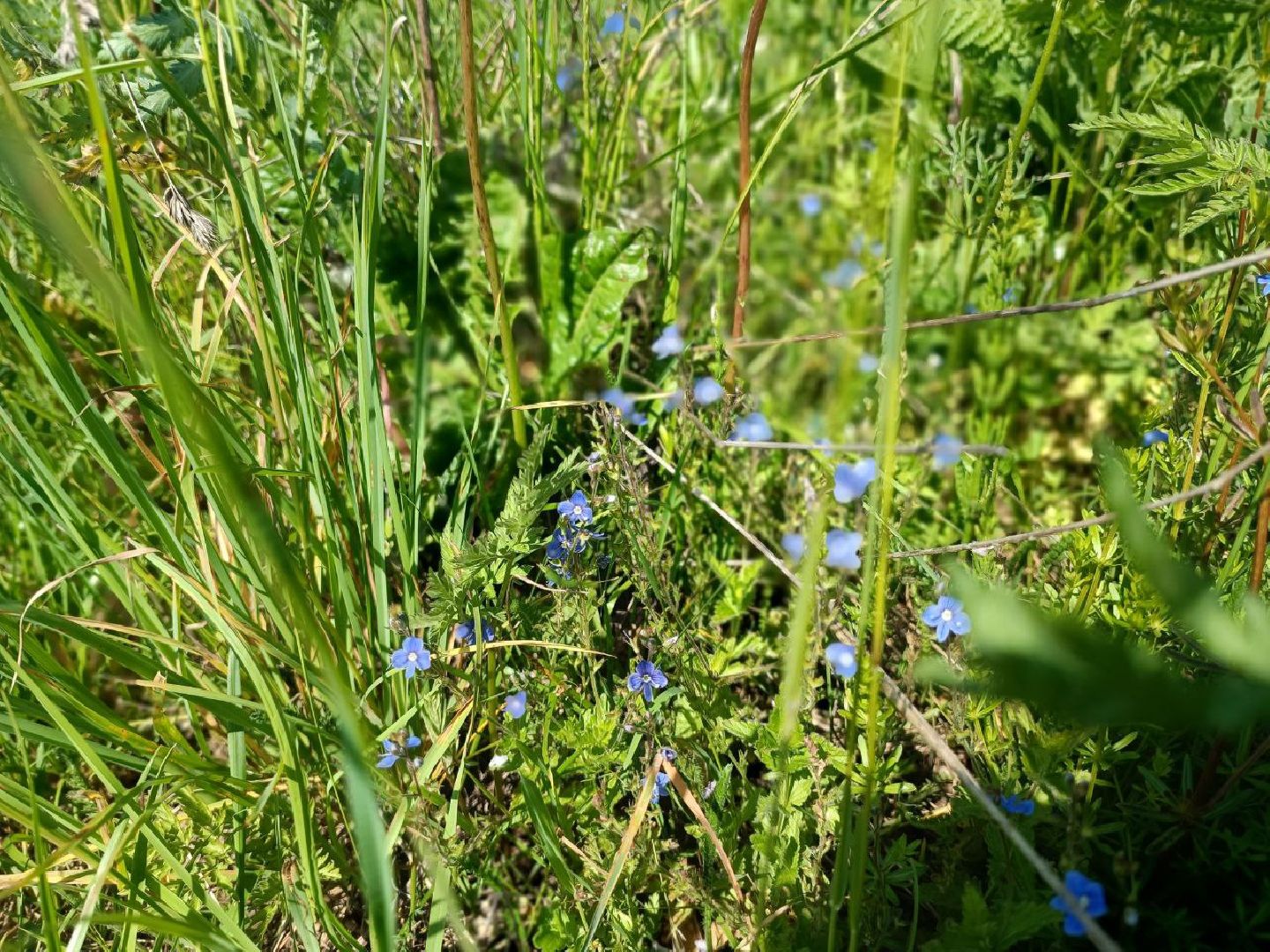 Можайск, Можайский городской округ, Подмосковье, карьер, жители, жалобы, строительство, разработка карьера, дороги