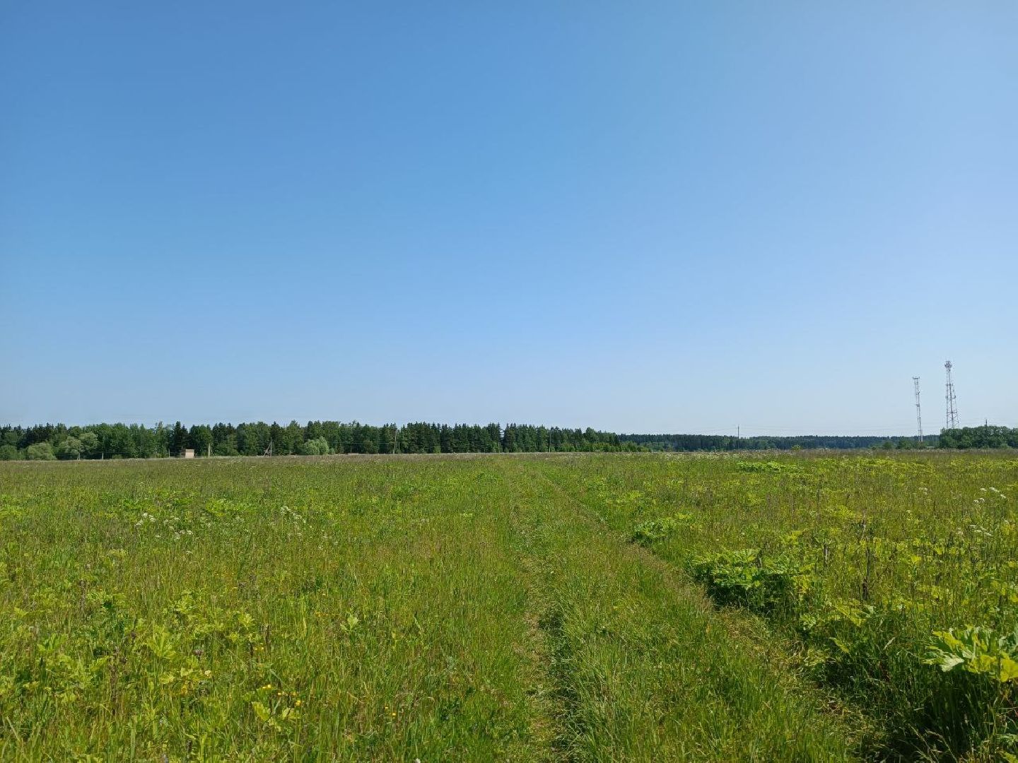 Можайск, Можайский городской округ, Подмосковье, карьер, жители, жалобы, строительство, разработка карьера, дороги