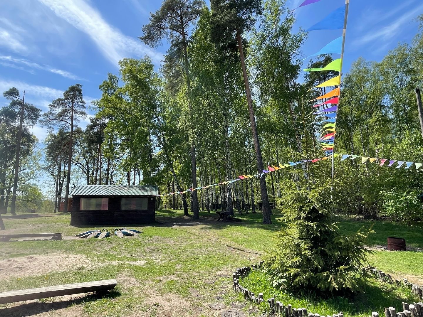 Туризм, отдых, березовая роща, Орехово-Зуево, лазертаг, вездеходы