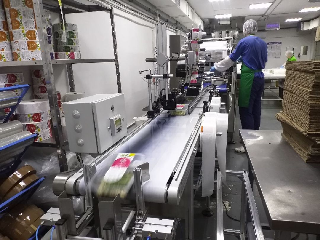 ОАЭ, Подмосковье, Дубай, микрозелень, ростки, предприятие, бизнес