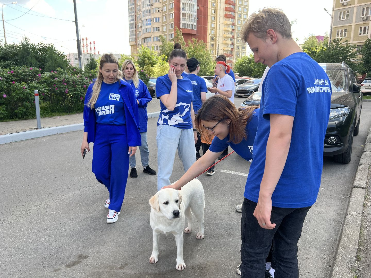 Химки, домашние животные, выгул собак, экологическая акция