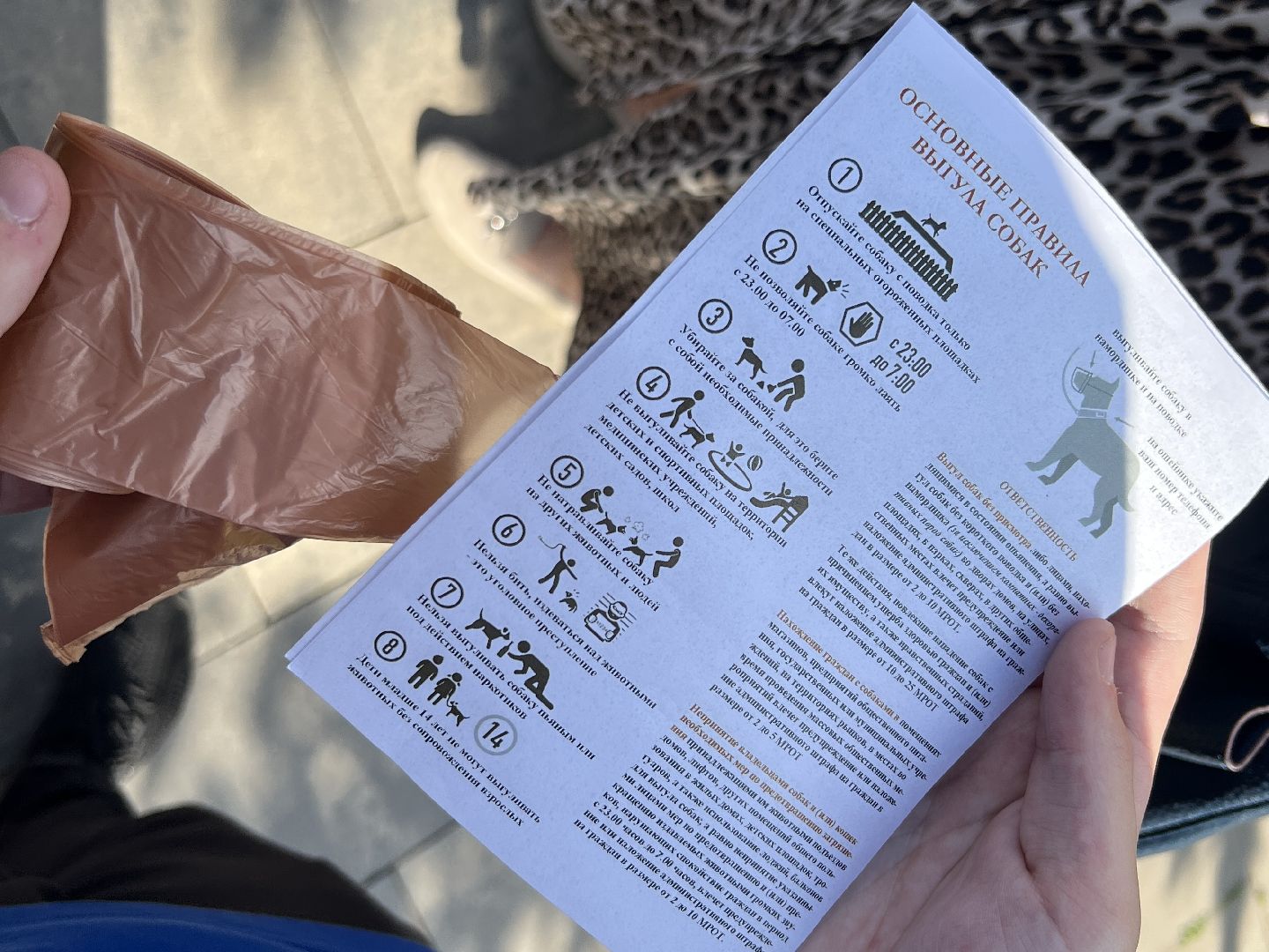 Химки, домашние животные, выгул собак, экологическая акция