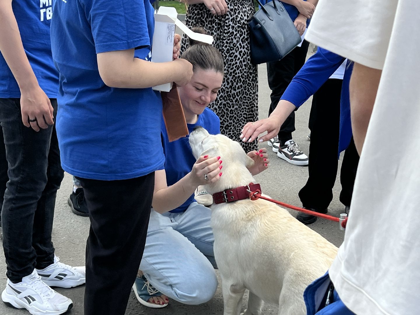 Химки, домашние животные, выгул собак, экологическая акция
