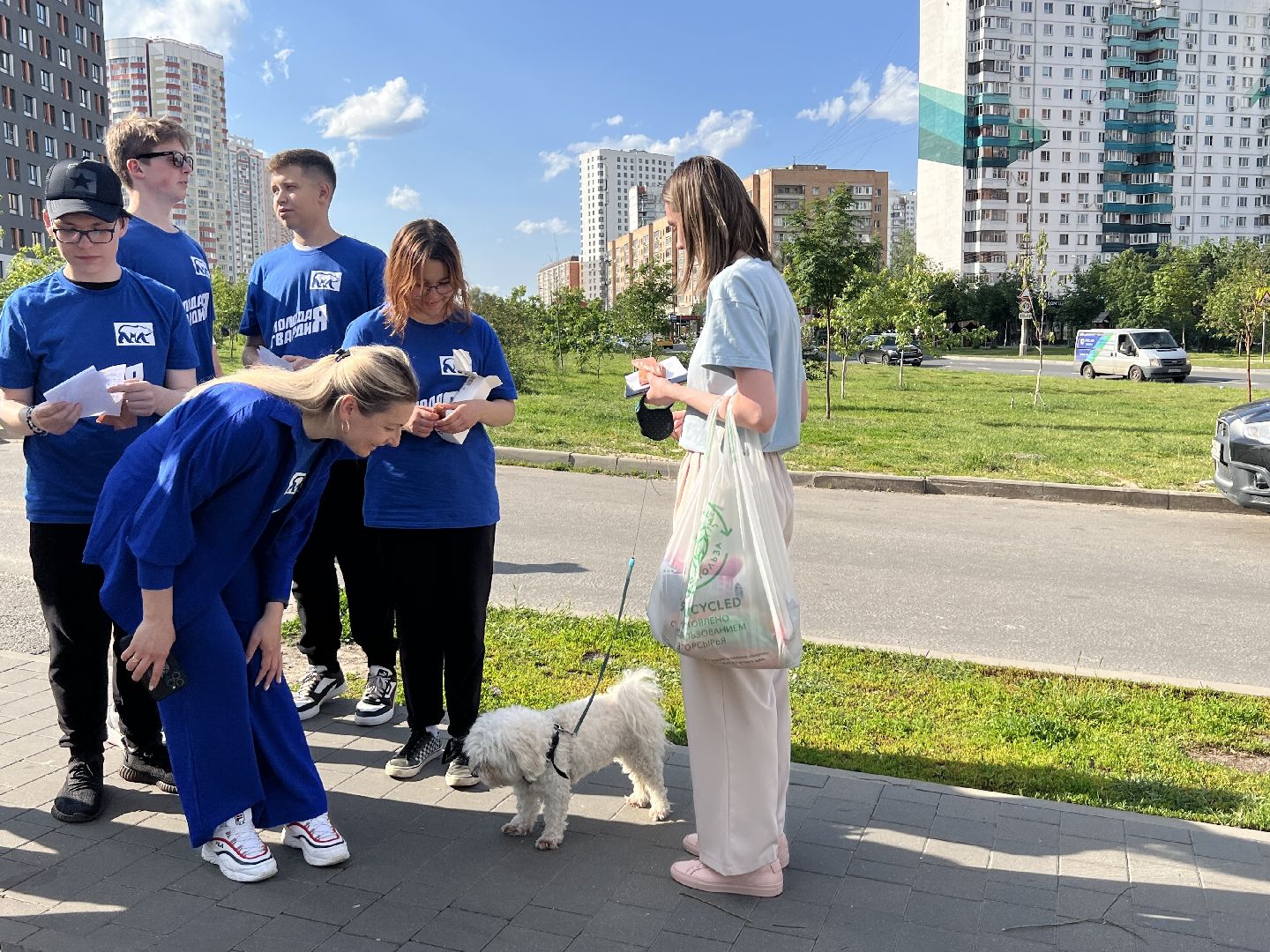 Химки, домашние животные, выгул собак, экологическая акция