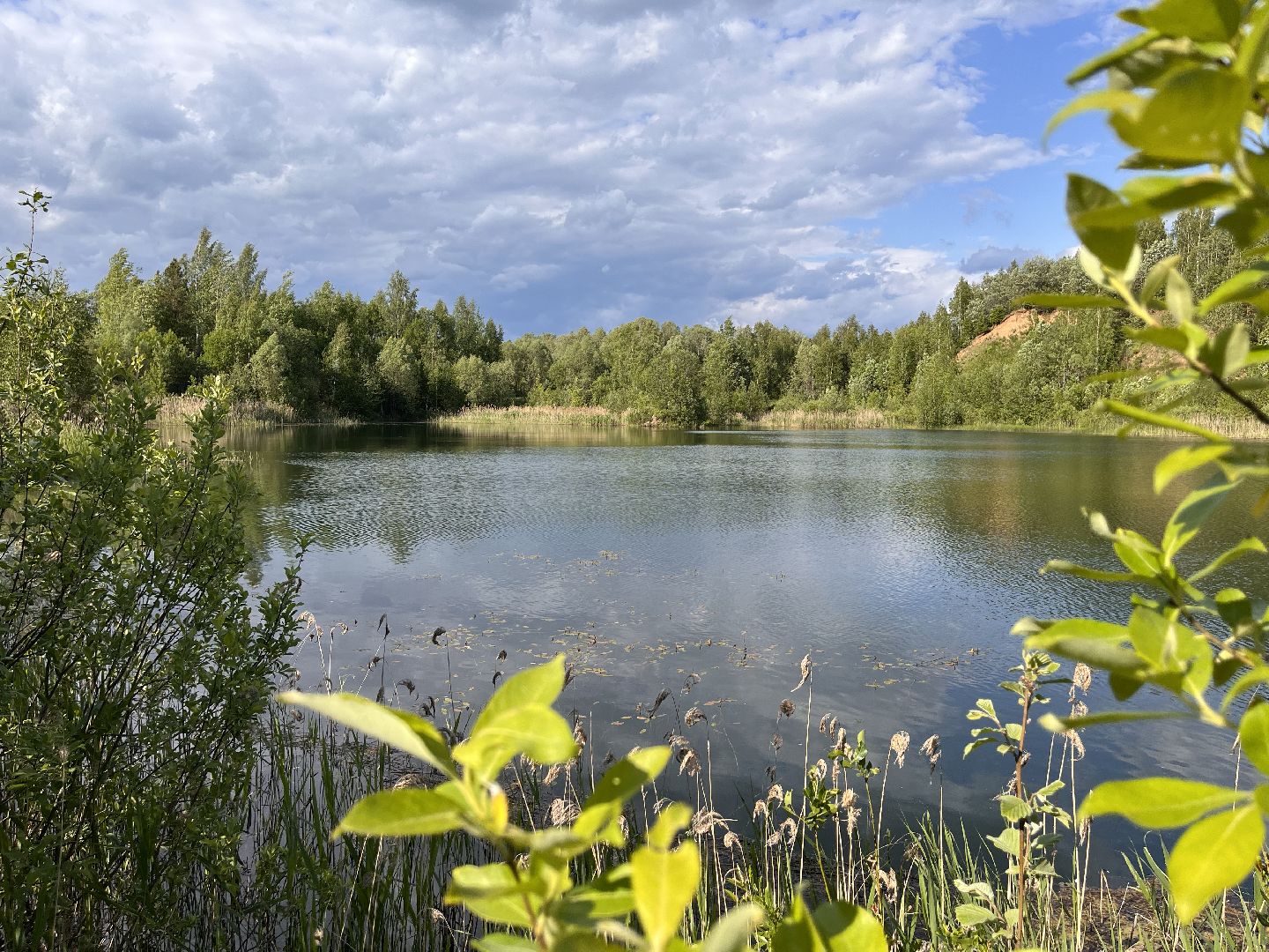 Шаховская, карьеры, песчаные карьеры, отдых