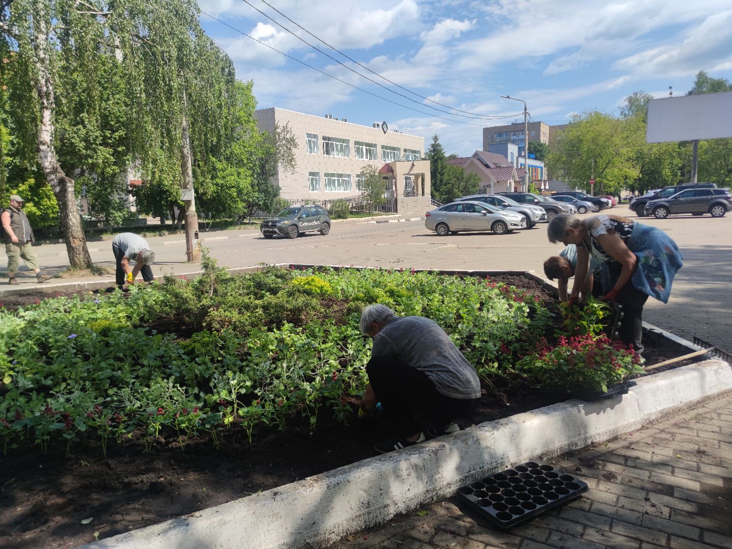 Озеленение, благоустройство, Дубна