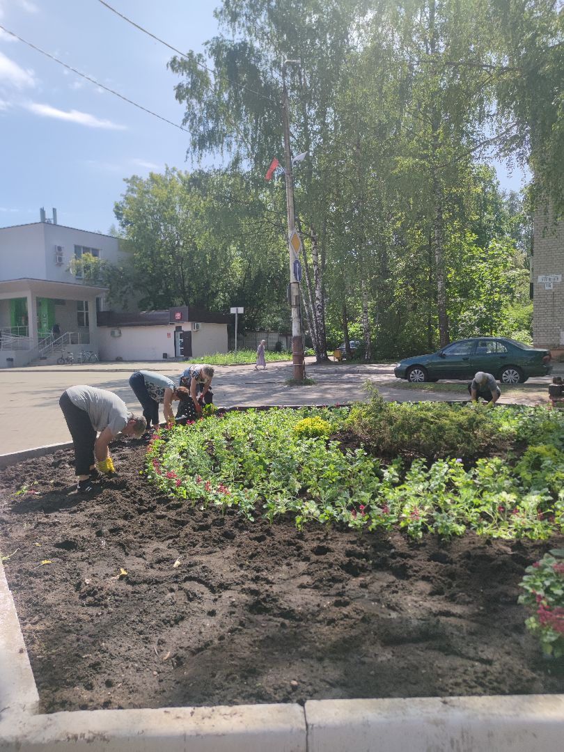 Озеленение, благоустройство, Дубна