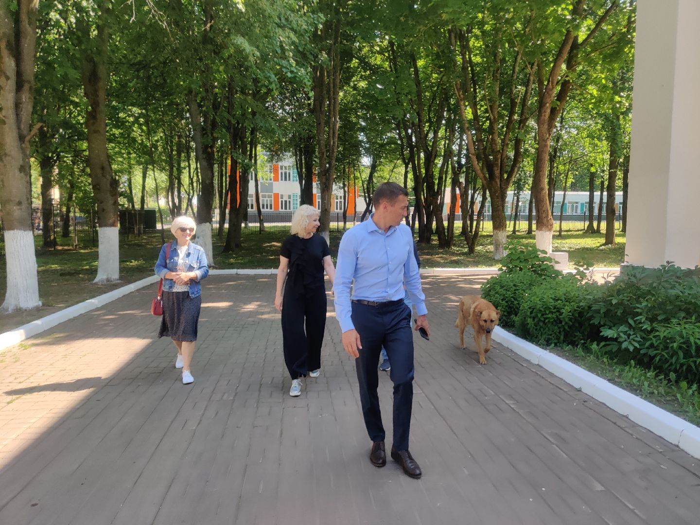 Красноармейск, Пушкинский, благоустройство, скейт-парк