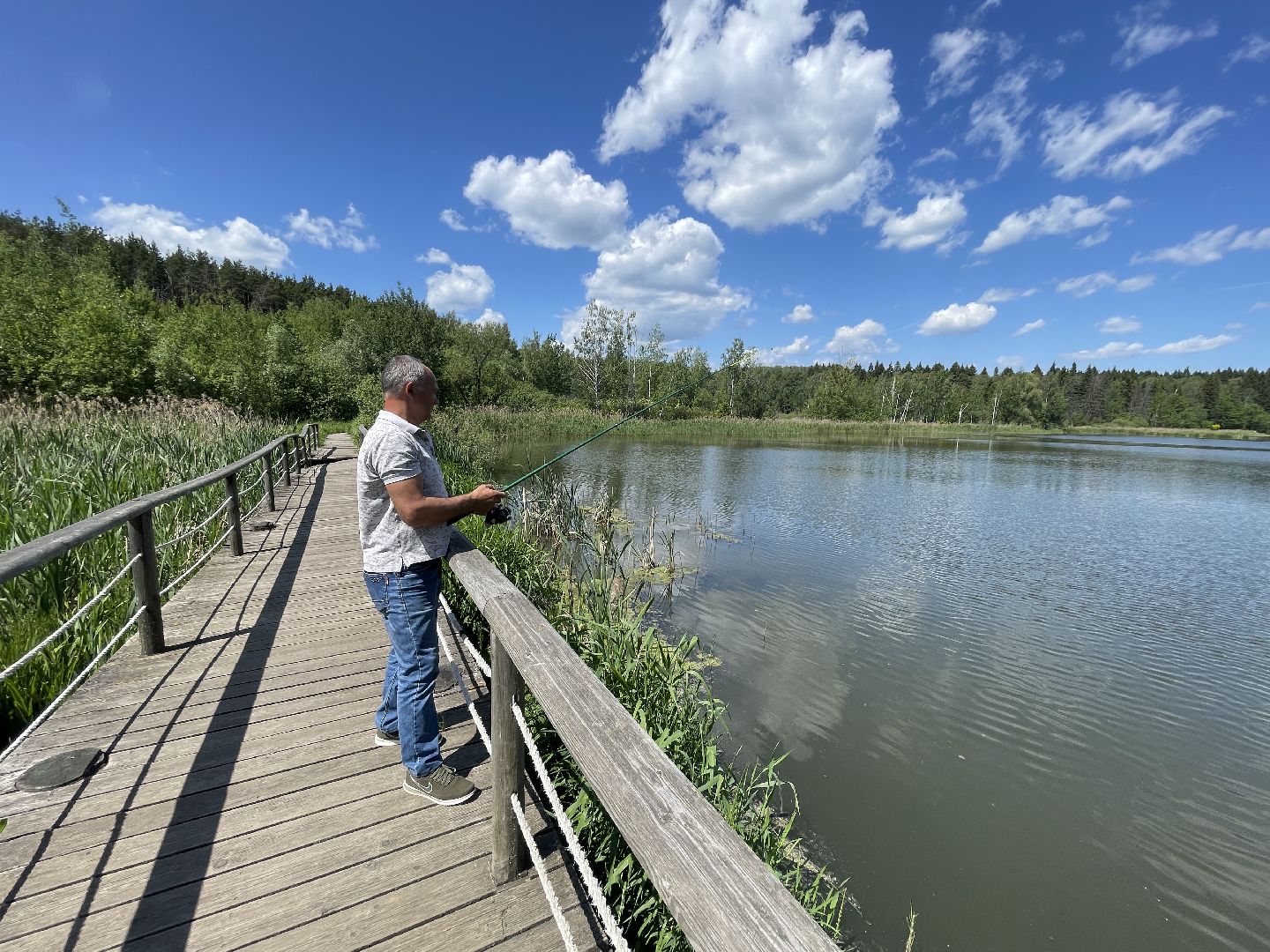 Экология, Одинцово, пруд, сброс, цветение,