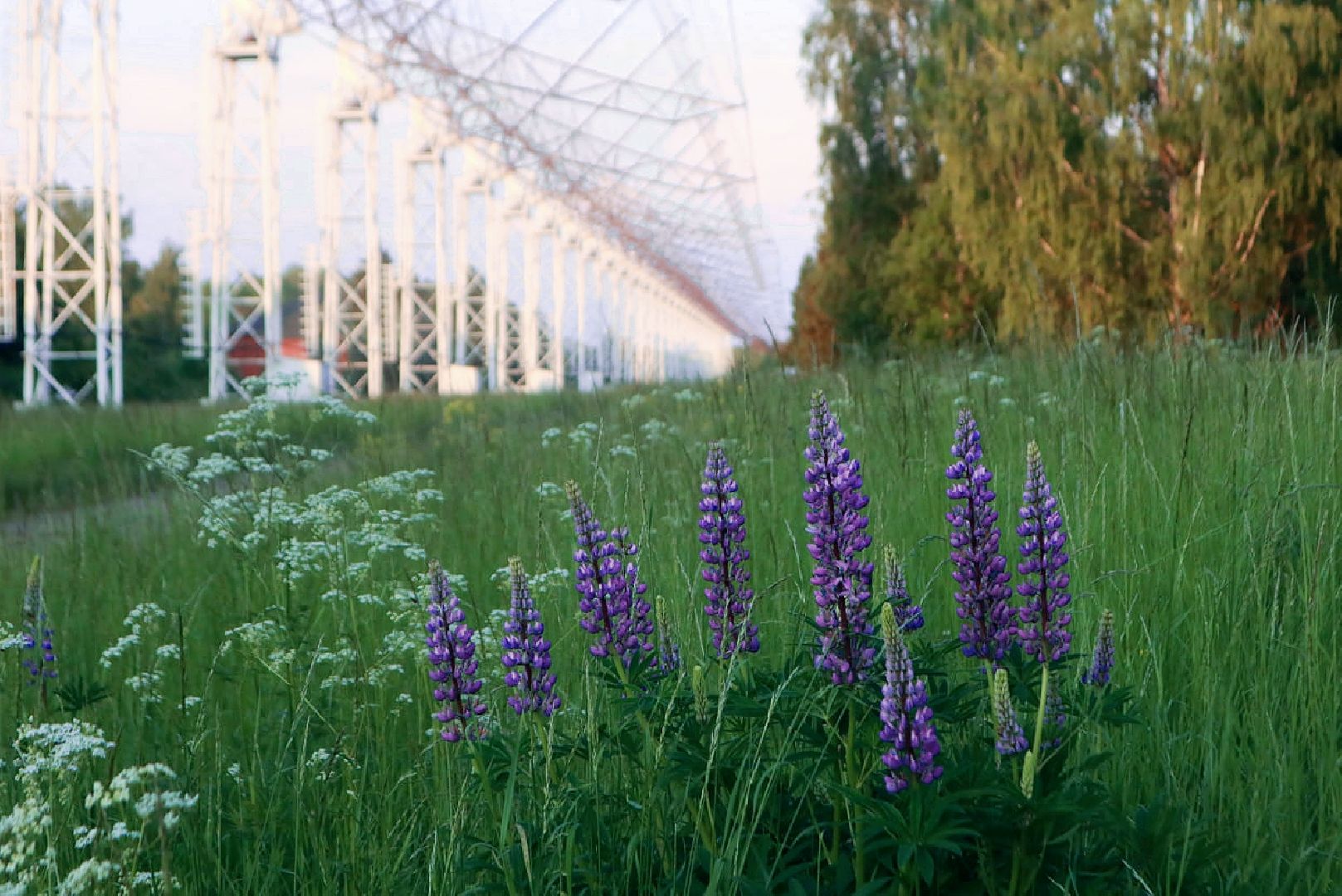 Пущино, экология