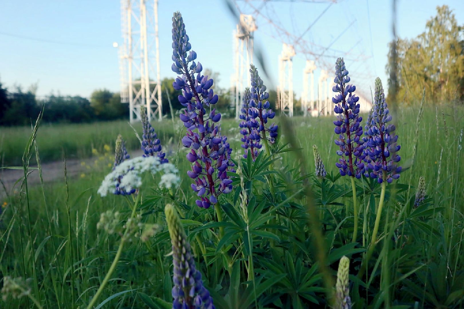Пущино, экология