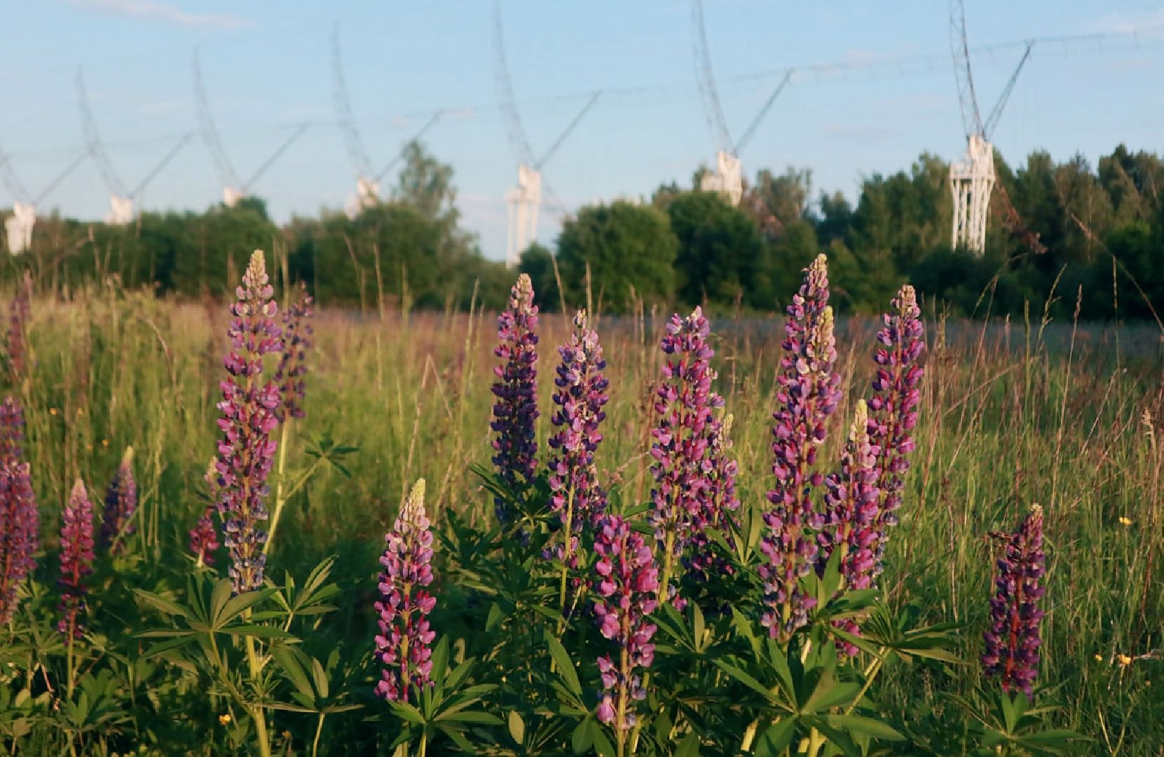Пущино, экология