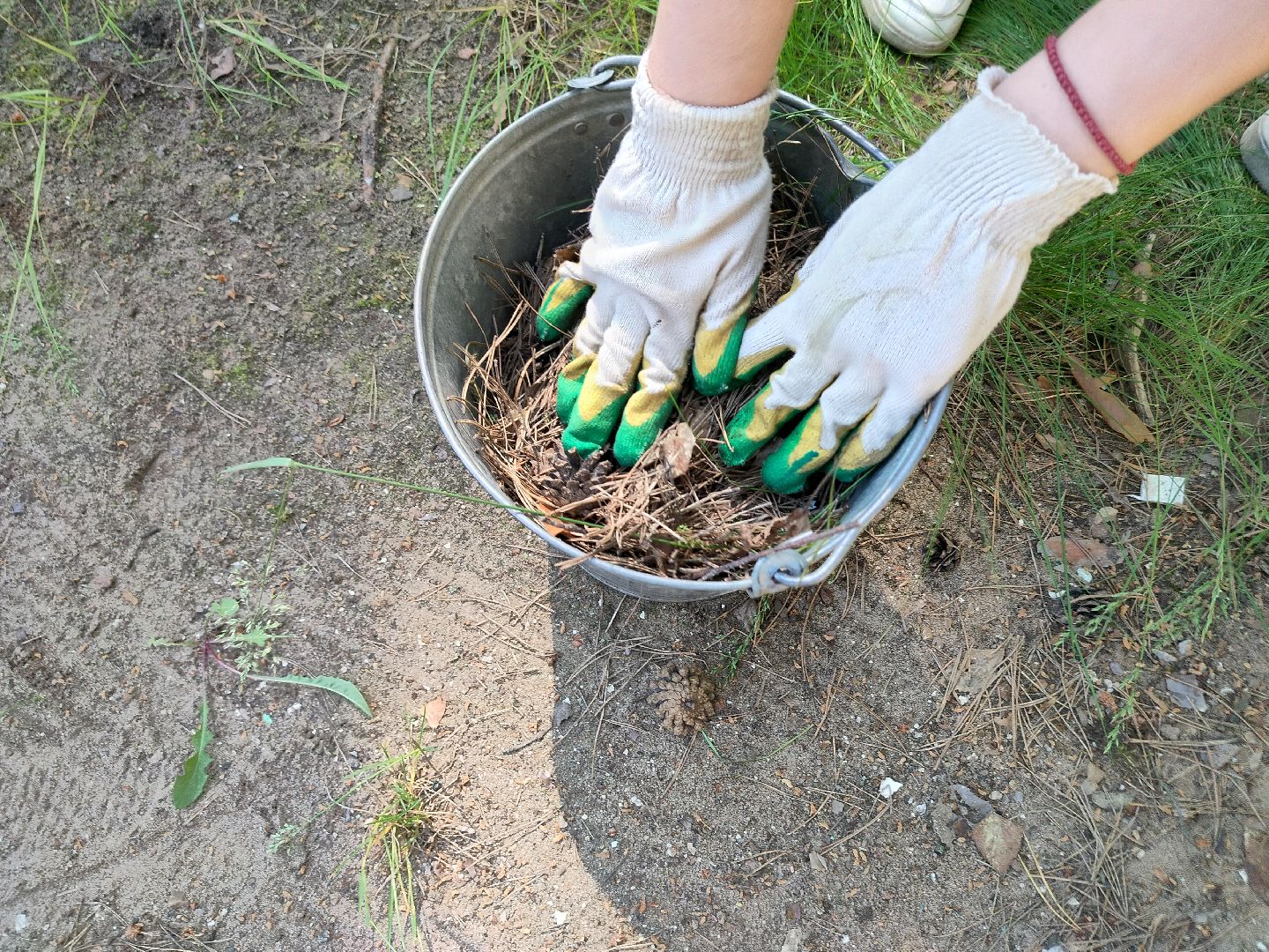 трудовой десант, ЦМИ, Протвино, лето, лагерь