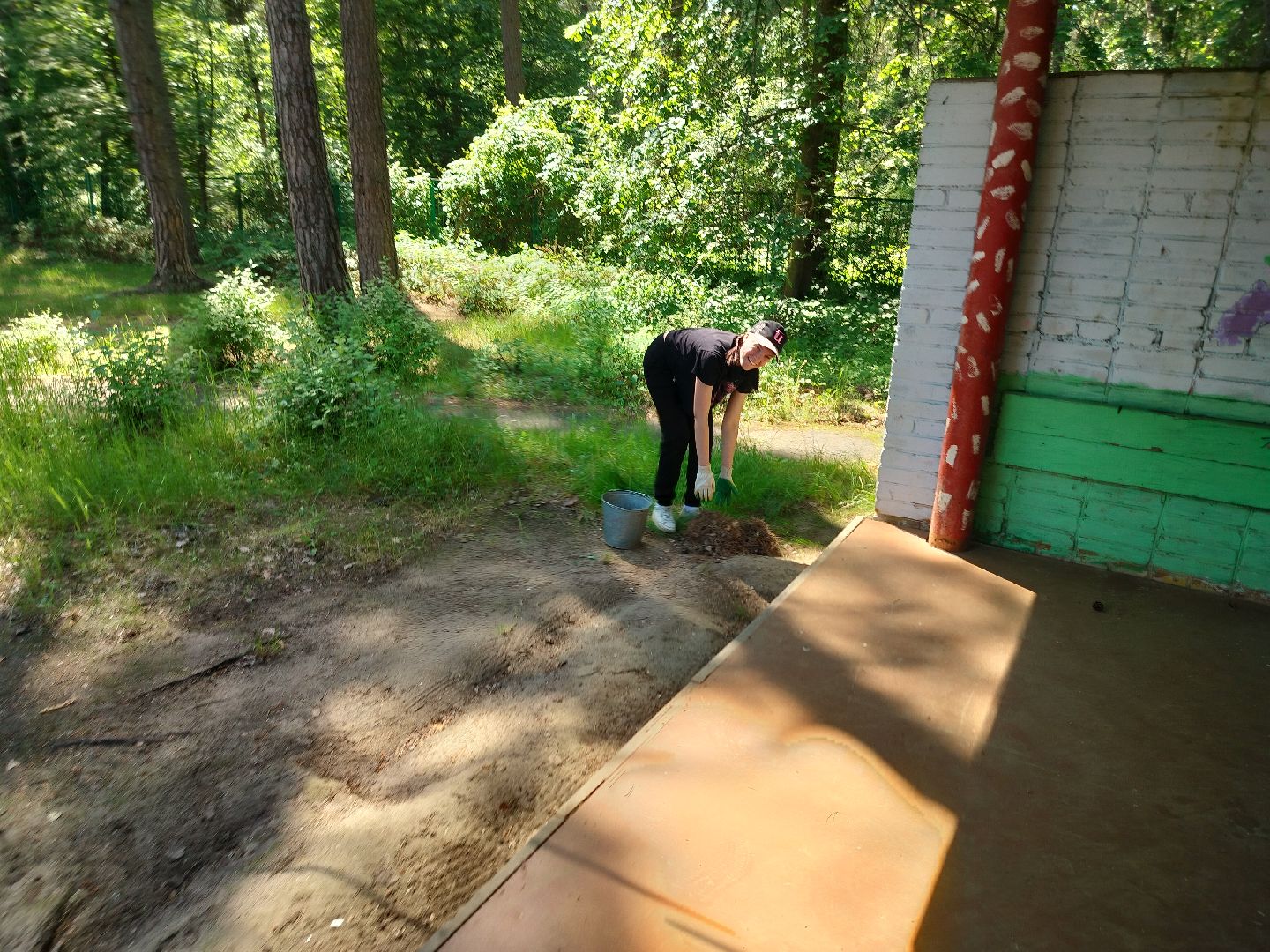 трудовой десант, ЦМИ, Протвино, лето, лагерь