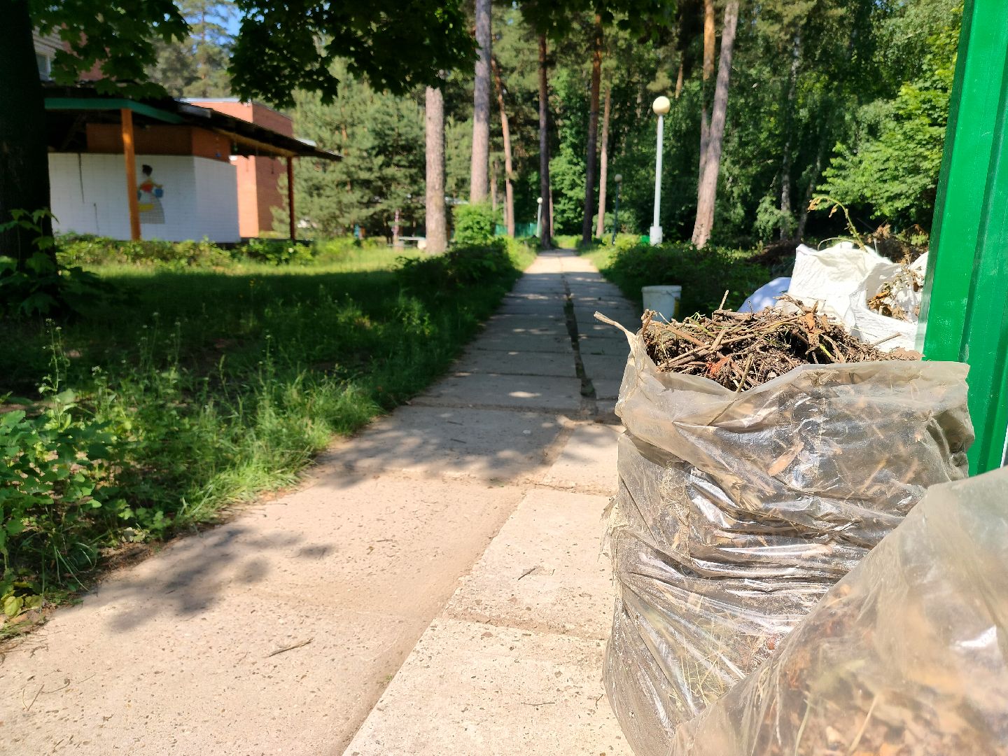 трудовой десант, ЦМИ, Протвино, лето, лагерь