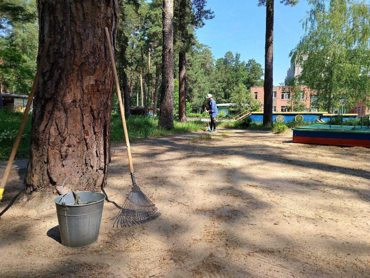 трудовой десант, ЦМИ, Протвино, лето, лагерь