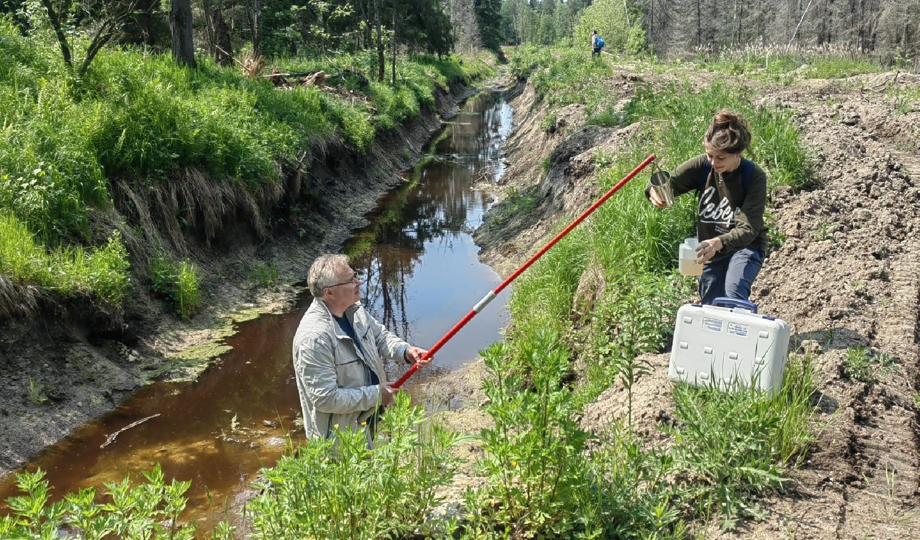 Солнечногорск, река, радомля, экология, гидролог