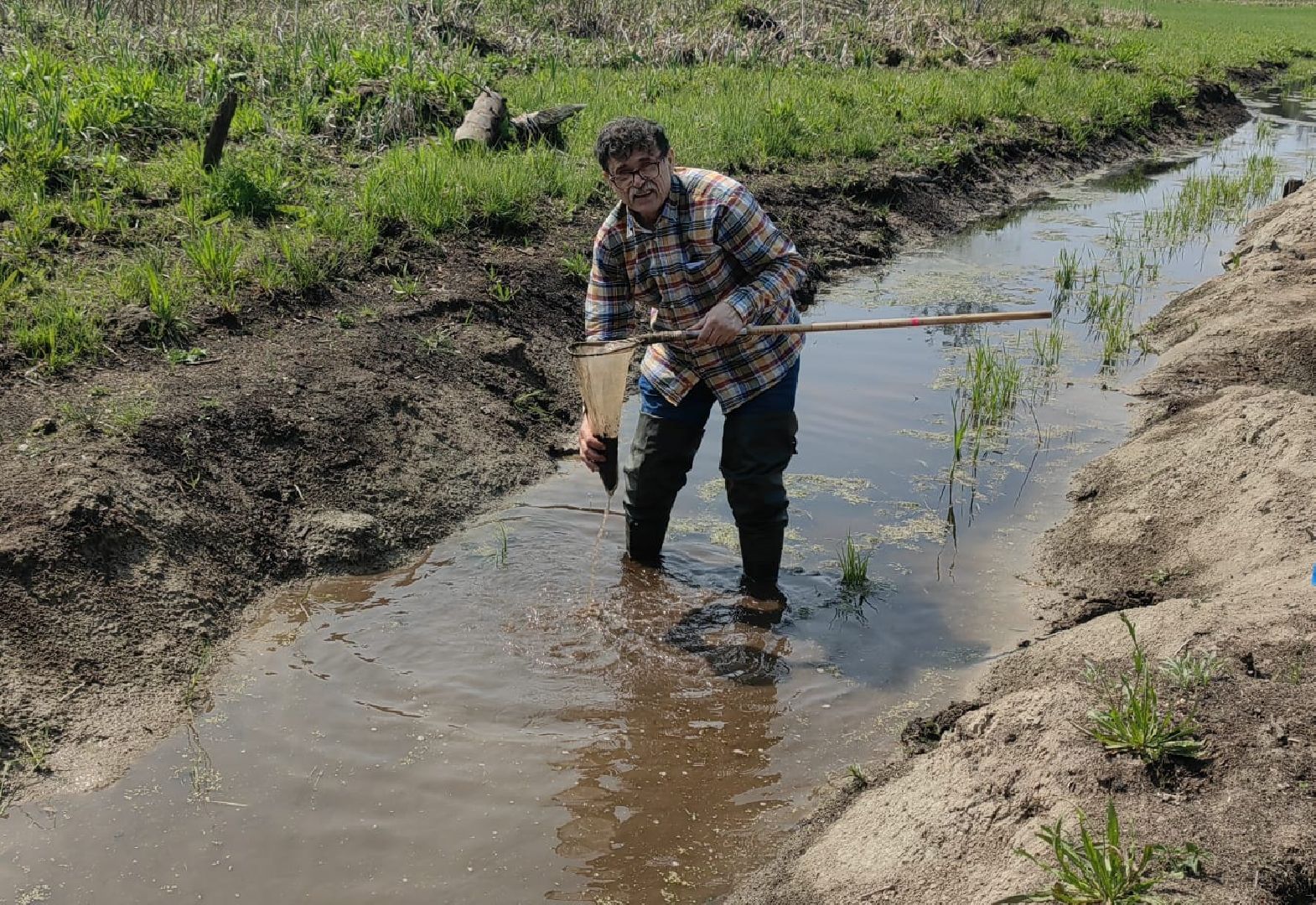 Солнечногорск, река, радомля, экология, гидролог
