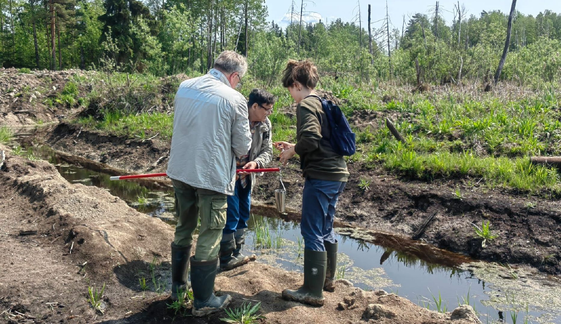 Солнечногорск, река, радомля, экология, гидролог