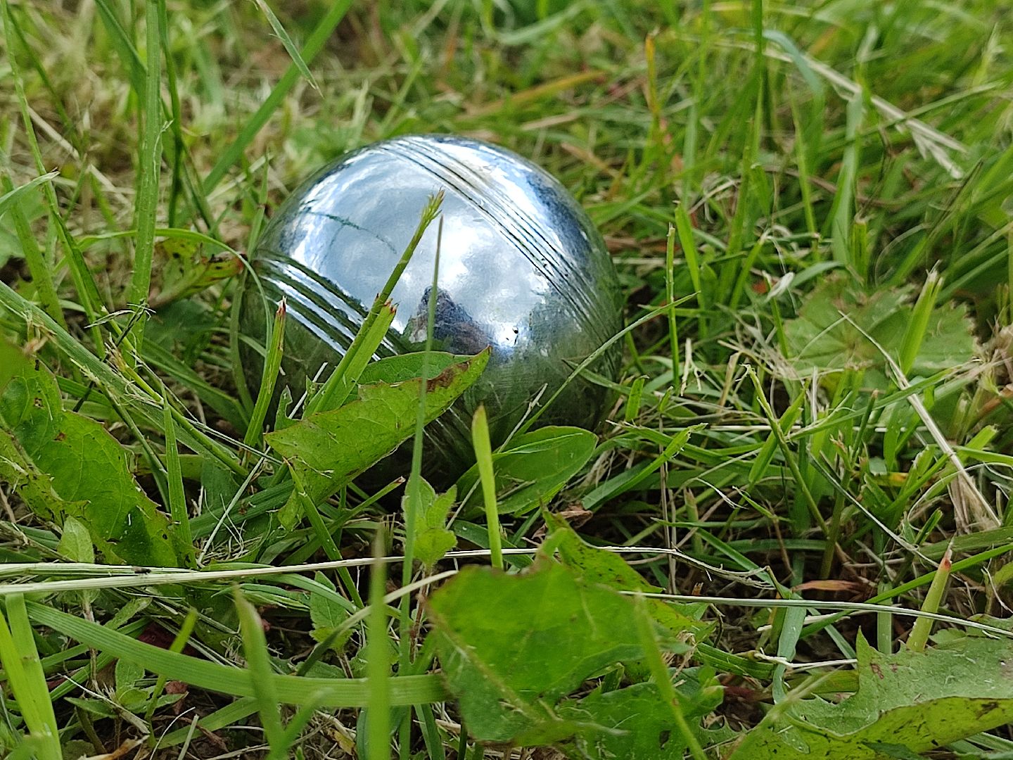 #активноедолголетие, #петанк, #талдом, #паркпобеды, #правилаигры