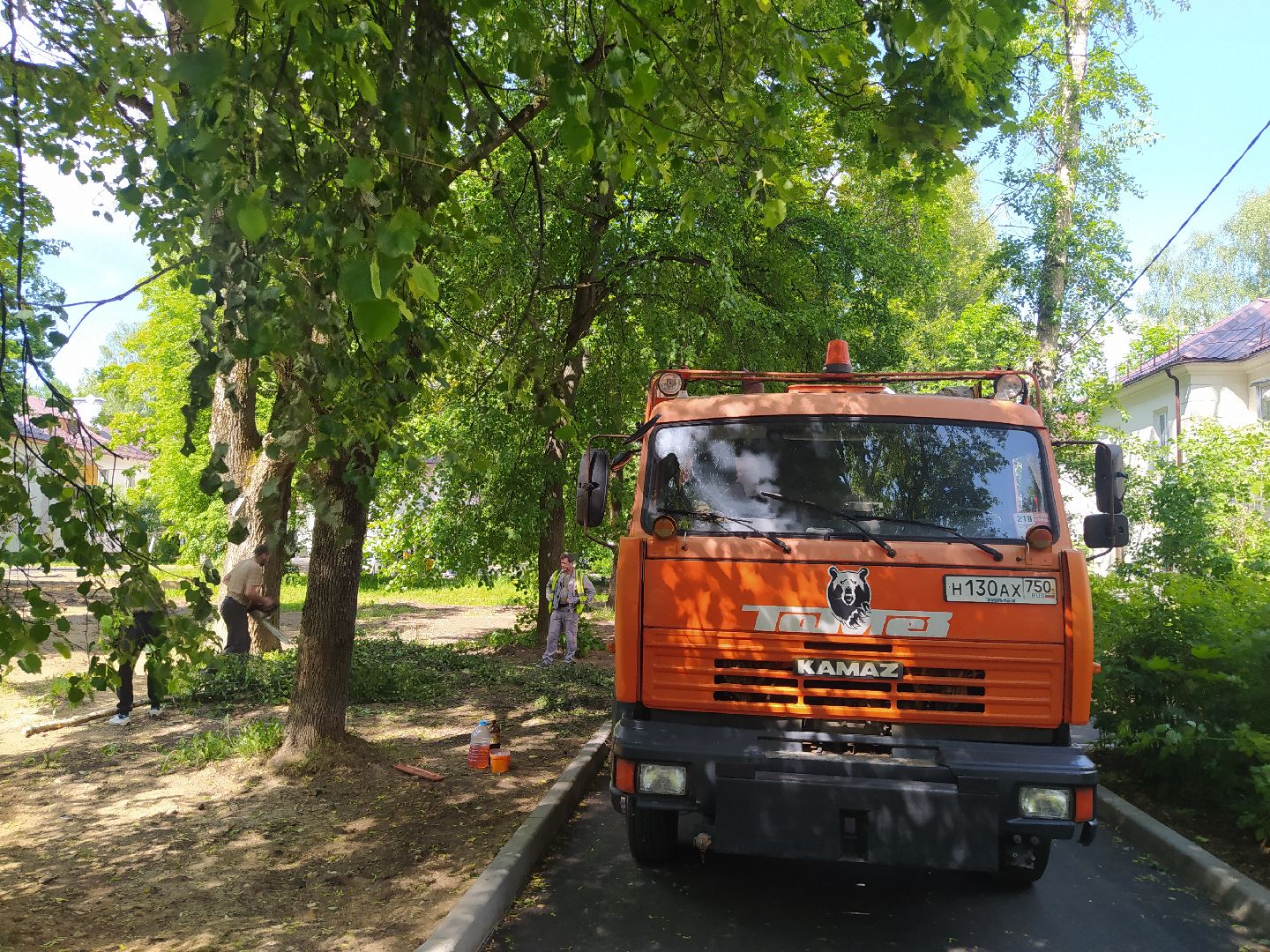 Дедовск, опиловка, благоустройство
