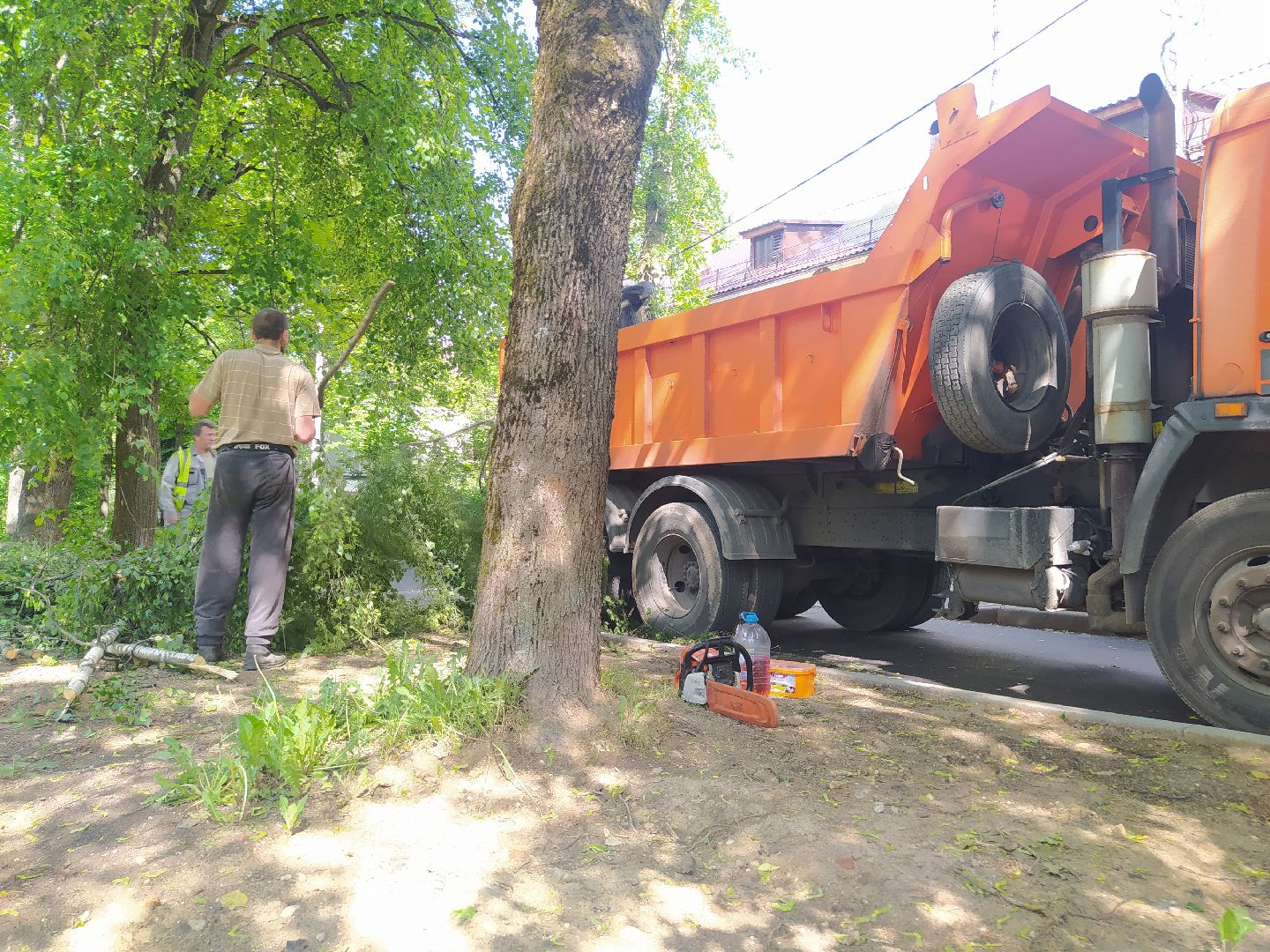 Дедовск, опиловка, благоустройство