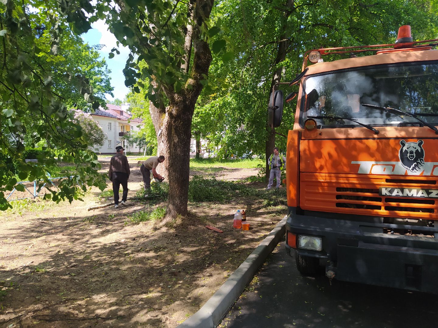 Дедовск, опиловка, благоустройство