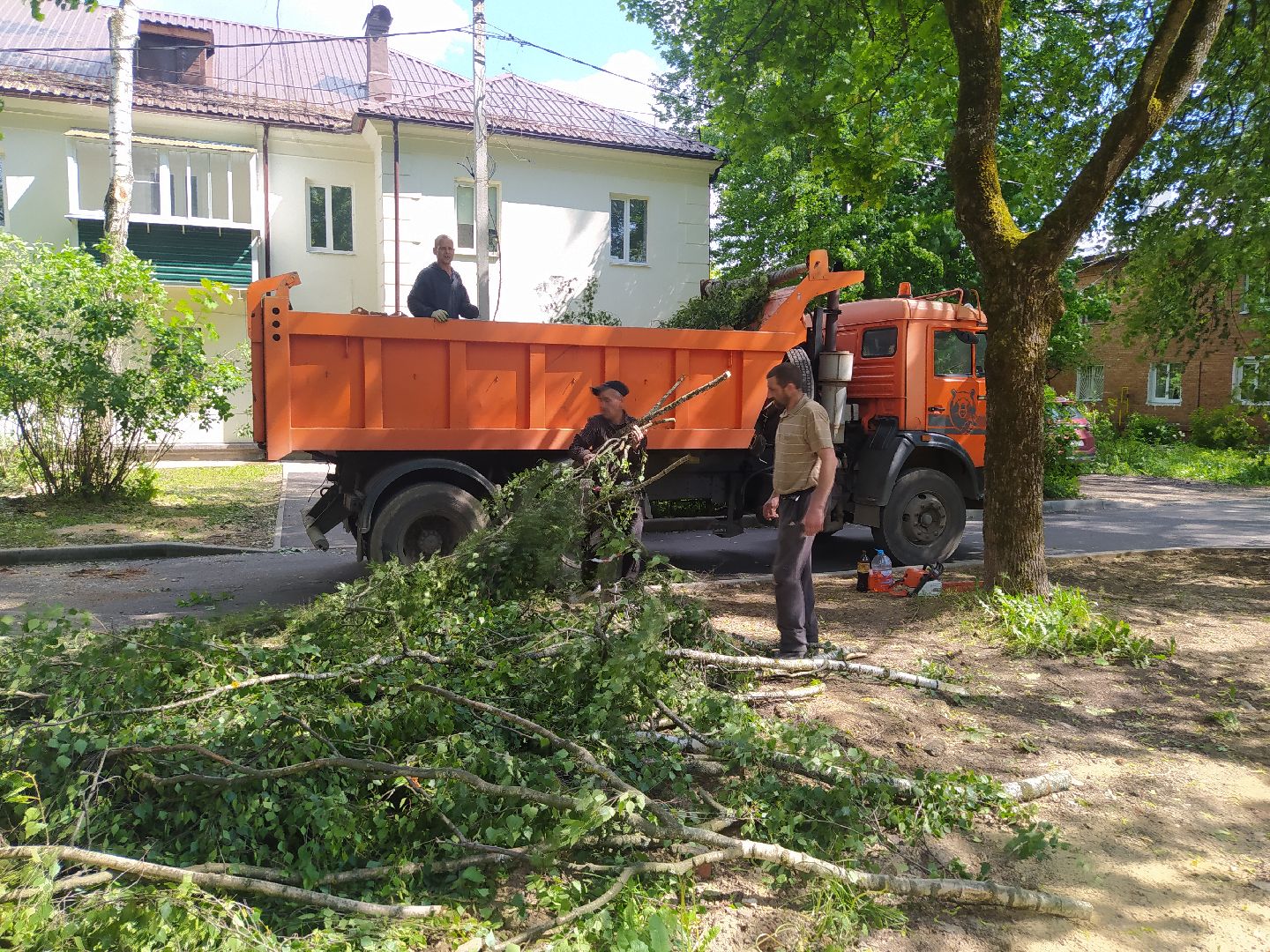 Дедовск, опиловка, благоустройство