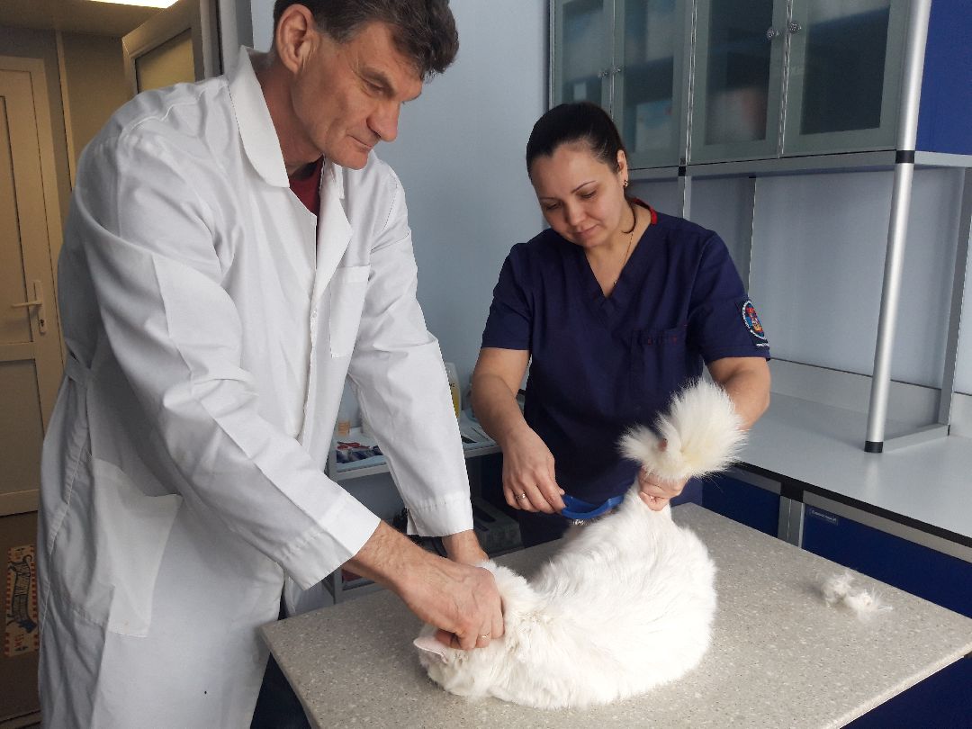 инновации, разработка,